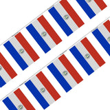 Guirlande drapeau paraguay - pixelforma