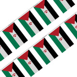 Guirlande drapeau république arabe sahraouie démocratique - pixelforma