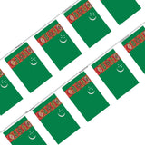 Guirlande drapeau turkménistan - pixelforma