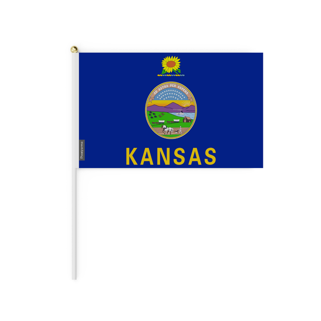 Lots mini drapeau kansas en plusieurs tailles - pixelforma