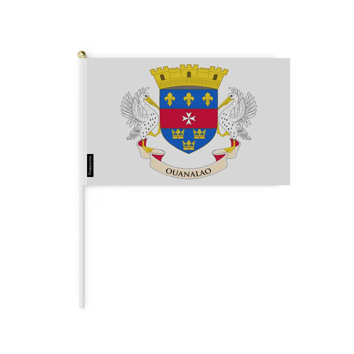 Lots Mini Drapeau Saint-Barthélemy en Plusieurs Tailles - Pixelforma 