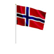 Mini drapeau norvège à main en polyester pour événement