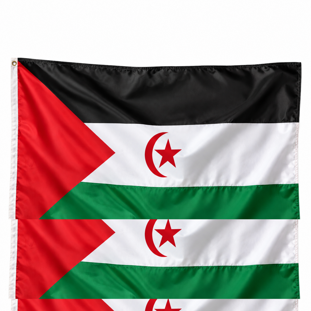 Drapeau arabe sahraouie démocratique réaliste en polyester