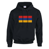 Sweat à capuche arménie coton mélangé broderie couleur