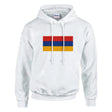 Sweat à capuche arménie coton mélangé broderie couleur