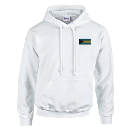 Sweat à capuche bahamas brodé en coton mélangé recyclé