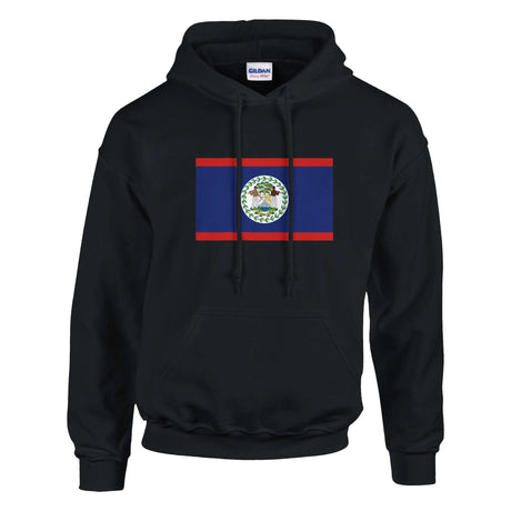 Sweat à capuche belize coton mélangé broderie couleur