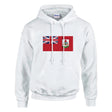 Sweat à capuche bermudes coton mélangé broderie couleur