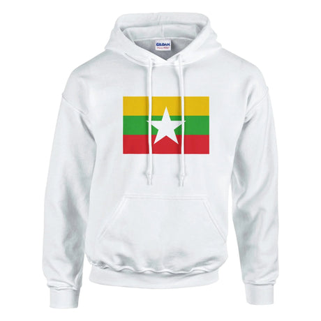 Sweat à capuche birmanie coton mélangé broderie couleur
