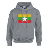 Sweat à capuche birmanie coton mélangé broderie couleur