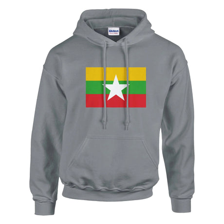 Sweat à capuche birmanie coton mélangé broderie couleur