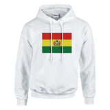 Sweat à capuche bolivie coton mélangé broderie couleur