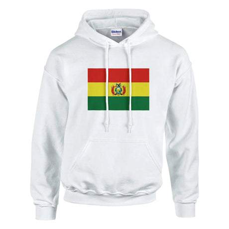 Sweat à capuche bolivie coton mélangé broderie couleur