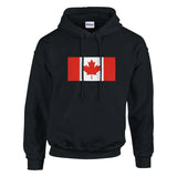 Sweat à capuche canada coton mélangé broderie confortable