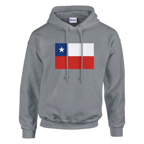Sweat à capuche chili coton mélangé broderie couleur