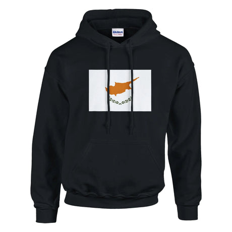 Sweat à capuche chypre coton mélangé broderie couleur