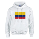 Sweat à capuche colombie coton mélangé broderie couleur