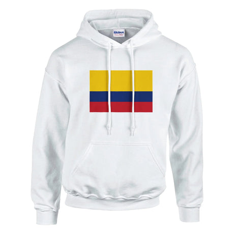 Sweat à capuche colombie coton mélangé broderie couleur