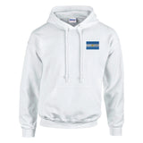 Sweat à capuche drapeau argentine brodé coton mélangé