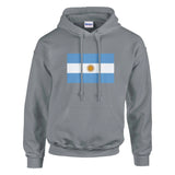 Sweat à capuche drapeau argentine coton mélangé brodé