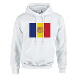 Sweat à capuche Drapeau de la Moldavie - Pixelforma 