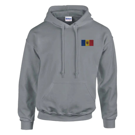 Sweat à capuche Drapeau de la Moldavie en broderie - Pixelforma 