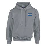 Sweat à capuche drapeau de l’argentine en broderie - pixelformaflag