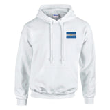 Sweat à capuche drapeau de l’argentine en broderie - pixelformaflag