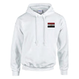 Sweat à capuche drapeau de l’égypte en broderie - pixelformaflag