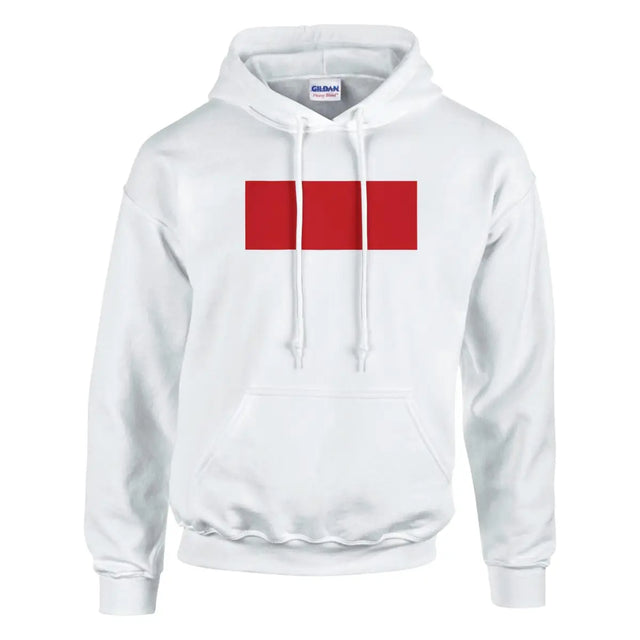 Sweat à capuche Drapeau de Monaco - Pixelforma 