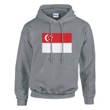 Sweat à capuche drapeau de singapour - pixelformaflag