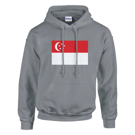 Sweat à capuche drapeau de singapour - pixelformaflag