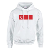 Sweat à capuche drapeau de singapour - pixelformaflag