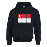 Sweat à capuche drapeau de singapour - pixelformaflag