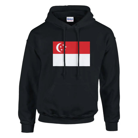 Sweat à capuche drapeau de singapour - pixelformaflag