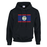 Sweat à capuche Drapeau du Belize - Pixelforma 