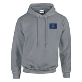 Sweat à capuche Drapeau du Kosovo en broderie - Pixelforma 