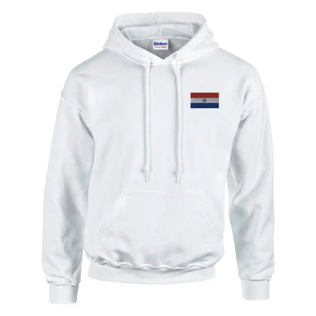 Sweat à capuche drapeau du paraguay en broderie - pixelformaflag