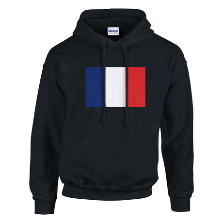 Sweat à capuche drapeau france coton mélangé brodé