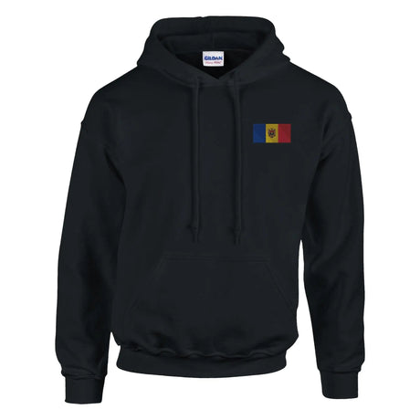 Sweat à capuche drapeau moldavie brodé coton mélangé