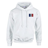 Sweat à capuche france brodé coton mélangé patriotique