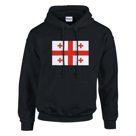 Sweat à capuche géorgie coton mélangé broderie couleur