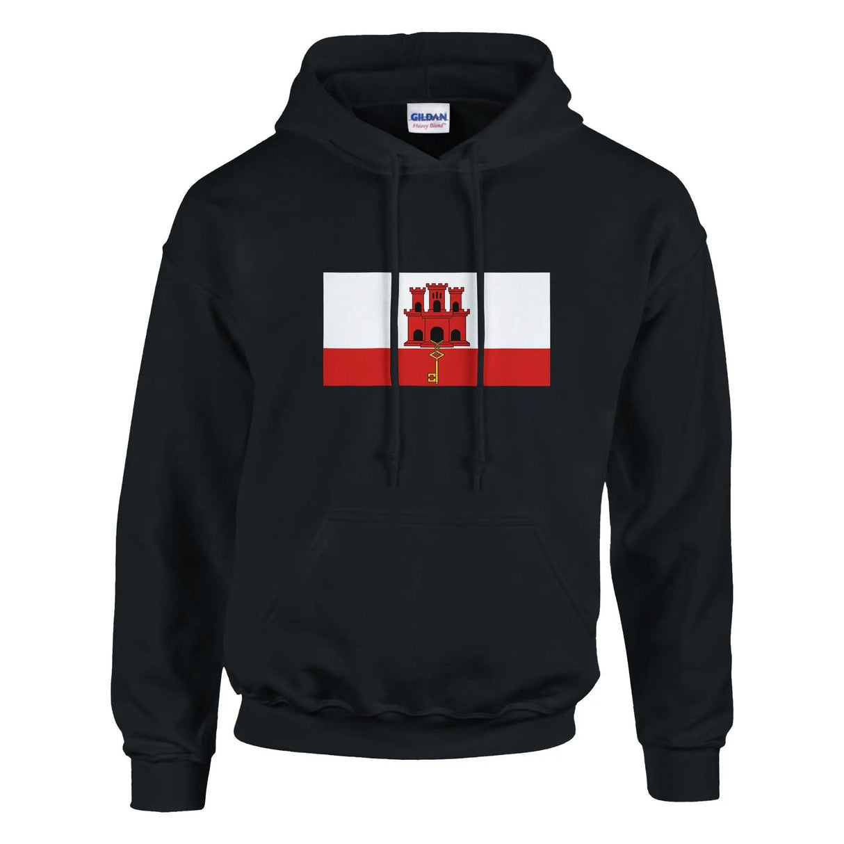 Sweat à capuche gibraltar coton mélangé broderie couleur