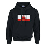 Sweat à capuche gibraltar coton mélangé broderie couleur