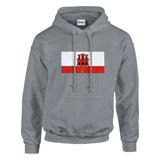 Sweat à capuche gibraltar coton mélangé broderie couleur