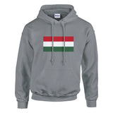Sweat à capuche hongrie coton mélangé broderie couleur