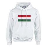 Sweat à capuche hongrie coton mélangé broderie couleur