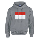 Sweat à capuche indonésie coton mélangé broderie couleur