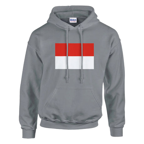 Sweat à capuche indonésie coton mélangé broderie couleur