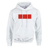 Sweat à capuche indonésie coton mélangé broderie couleur